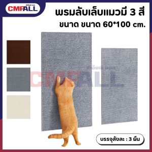 พรมลับเล็บแมว ขนาด 60*100 cm. มี 3 สี