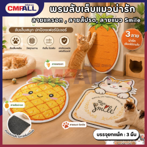 พรมลับเล็บแมวผืนใหญ่ ลายน่ารัก 50×80 ซม. พรมข่วนแมว