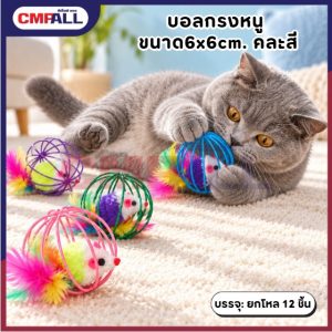 บอลกรงหนู ขนาด6x6cm. คละสี