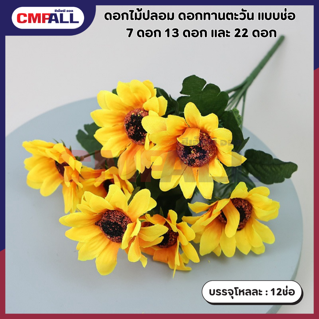กล่องแว่น (2)