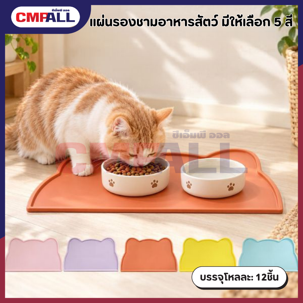 กล่องแว่น (5)