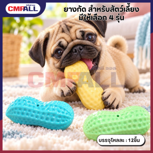 ยางกัด สำหรับสัตว์เลี้ยง มีให้เลือก 4 รุ่น