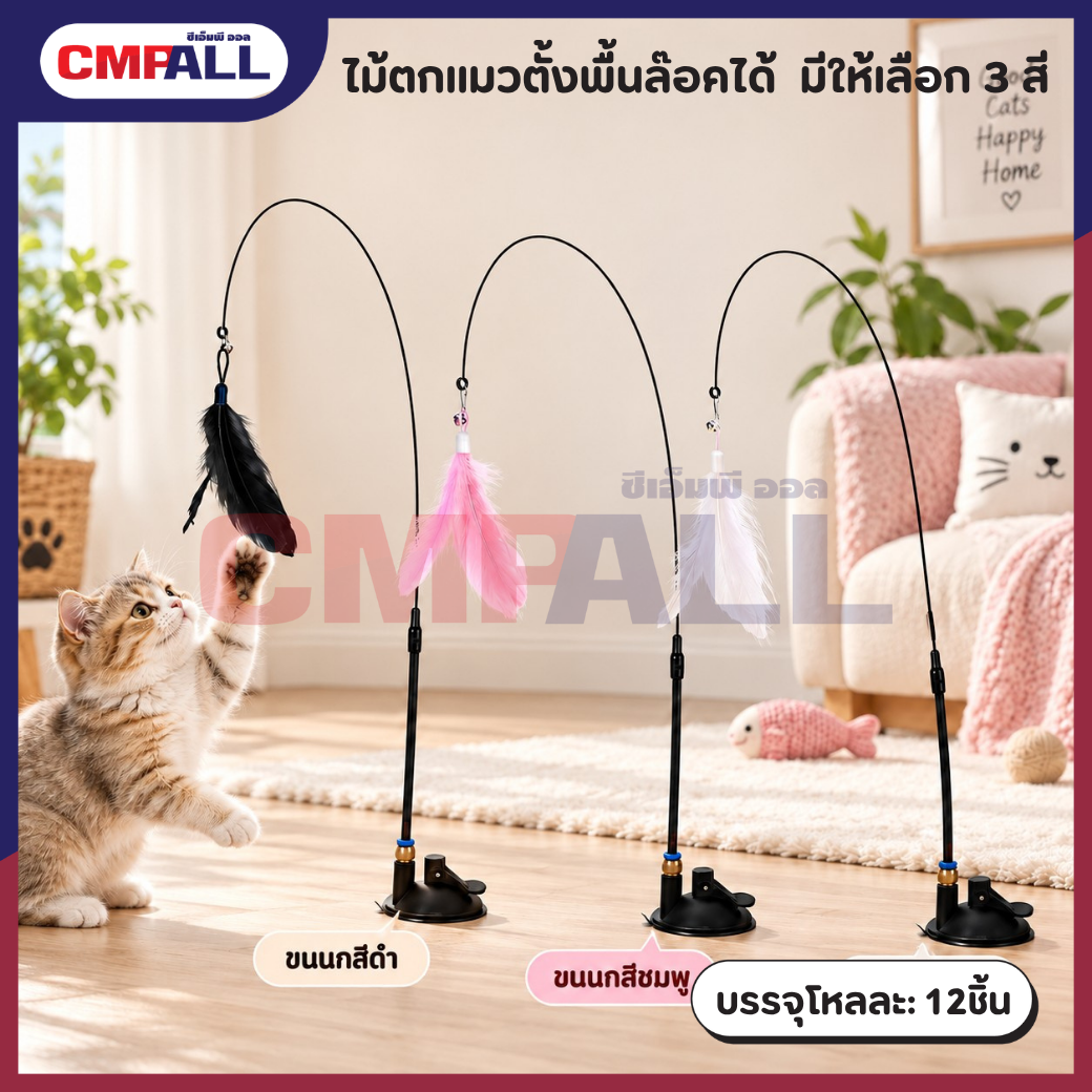 แมว (1)